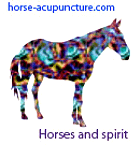 Therapeutic Equine Acupuncture Course – approved provider IICT, please visit our website