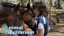 Animal Equilibrium, please visit my website