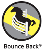 Bounce Back ® horse fence please visit our website