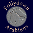 Follydown Arabians, please enter here
