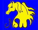 NSW Arabian Horse Association