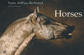 Please enter here for more information on this horse book