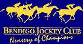 bendigo_racing_logo.gif (7558 bytes)
