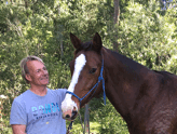 Dr Frank Doerges (DVM) - Equine Osteopath, please view my website