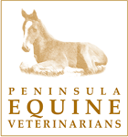 Peninsula Equine Veterinarians, please visit our website