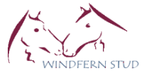 Windfern Stud